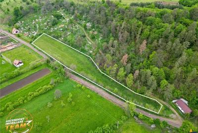 FILM! Teren intravilan, 6.500 mp, Papauti, Covasna - 1