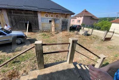 Casă cu 3 camere cu Teren 47000 Mp în Borza - 1