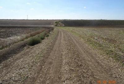 Teren extravilna Cota parte 1/16, CObadin, ID: R2782865 - 4