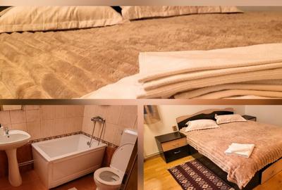 Cabana La Breazu Trambulina & Biliard | 3 bai - 2 dormitoare - 12