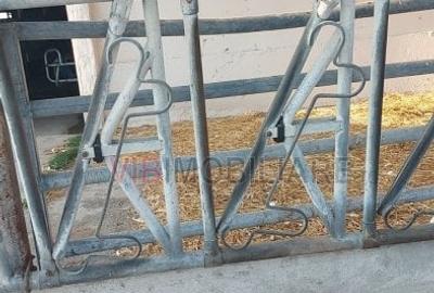 Ferma zootehnică funcțională, populată cu peste 200 capete bovine, aproape de Sâ - 3