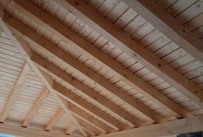 Villa de vinzare - 5