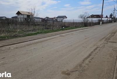 Teren de 1300 mp, în Ștefăneștii de Jos - 3