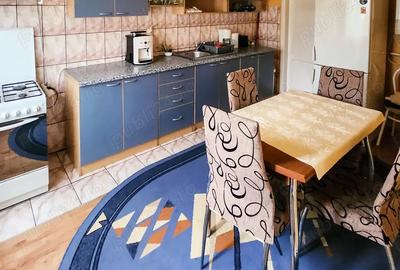 Vand Schimb Casa zona centrala, 2 apartamente separate, garaj, curte - 8