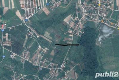 Teren de 5757 mp, în Paleu - 3
