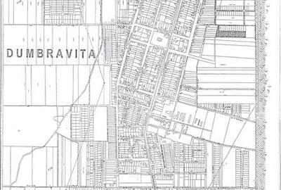 695mp, 2fs,Dumbravita, 160E/mp - 1