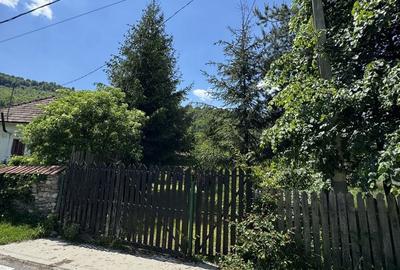 Casă cu 4 camere cu Teren 3500 Mp în Stoenești - 2