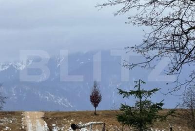 Teren de 80000 mp, în Glăjărie