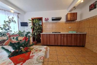 Tu 3D! Pensiune in areal pretios, Moieciu, Bran, Brasov - 45