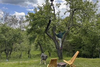 Spațiu comercial, în Central - 6