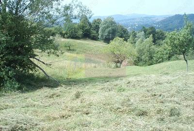 Teren de 4404 mp, în Telega - 2