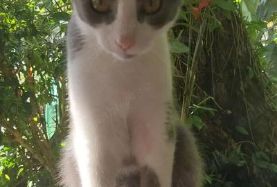 Apartament cu 2 camere decomandat în Timpuri Noi - 1