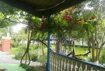 Casă cu 11 camere cu Teren 2200 Mp în Crișan - 11