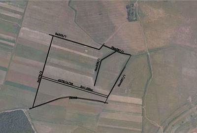 Teren de 35000 mp, în Giroc - 3