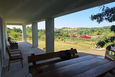 Casă cu 6 camere cu Teren 2900 Mp în Șiștarovăț - 2
