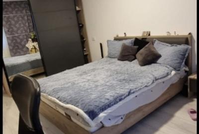 Apartament de 3 camere ( Mobilat + Utilat ) - 4