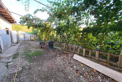 Casa cu o suprafata totala 1927 Mp, Seleus, Danes - 12