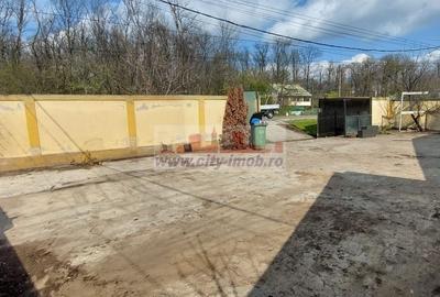 Inchiriere Spatiu Comercial Stradal Mogosoaia - 5