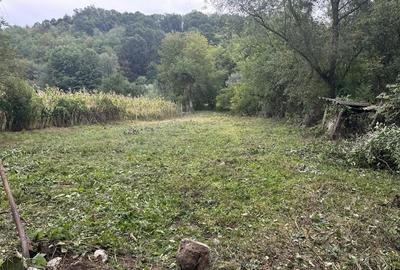 Casă cu 4 camere cu Teren 1000 Mp în Pârâu - 4