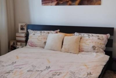 Apartament cu 2 camere semidecomandat, mobilat în Gorjului - 2