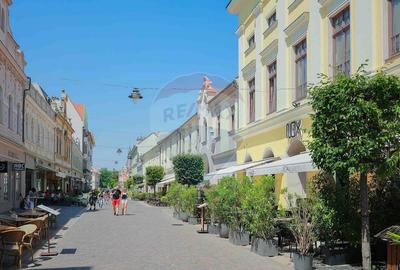 De vanzare -- Spatiu comercial parter 409 mp, Vasile Alecsandri - 27