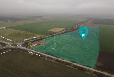 Teren 84000 mp la 20 km de Arad, la DN79 - 3