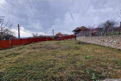 Casa situata in Oras Tismana - Valcele - 7