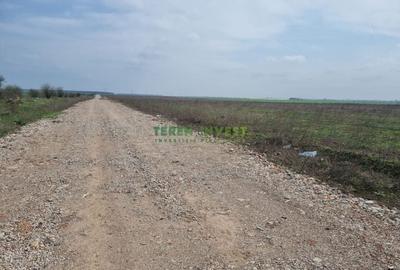 TEREN INDUSTRIAL 20.000 MP - CERNICA - A2 PUZ APROBAT - 1