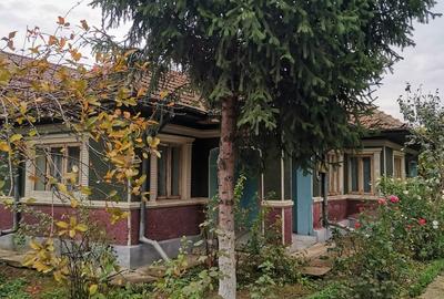 Cosereni, Ialomita - 1