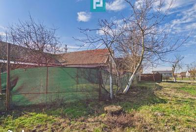 Spațiu comercial, de 225 mp, în Sânandrei - 13