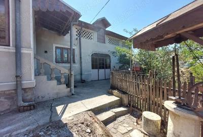 Casă cu 6 camere cu Teren 2267 Mp în Diculești - 1