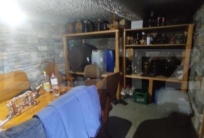 Vila la cheie, teren 6700 mp, sat Nima - 19