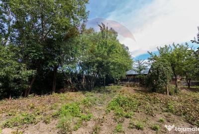 Teren de 800 mp, în Baciu - 7