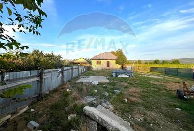 Casa de vanzare 3 camere - com. Letea Veche- sat. Holt - 5