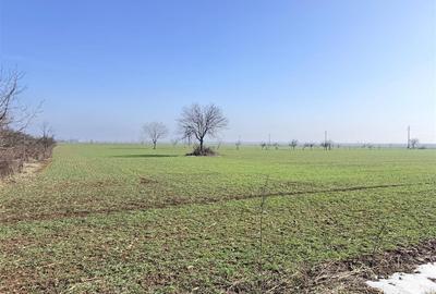 Teren Construcții intravilan de 3000 mp, în Est - 3