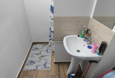 Apartament cu 2 camere decomandat în Cărpiniș - 7