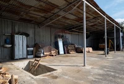 Vanzare imobil cu functiune mixta Ungureni/ Dambovita - 14