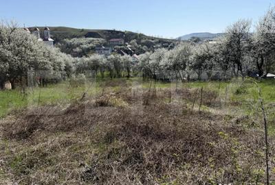 Teren în Crișeni - 1
