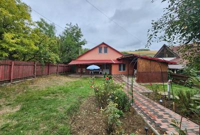 CASA 5 CAMERE , VANATORI-POPRICANI - 9