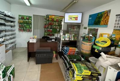 Spațiu comercial, de 59 mp, în Cetate - 8