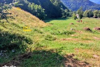 Teren de 7500 mp, în Malaia - 1