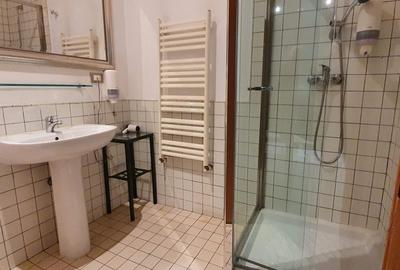 Garsoniera moderna, c-tie noua, vedere spre gradina Mitropoliei - 9