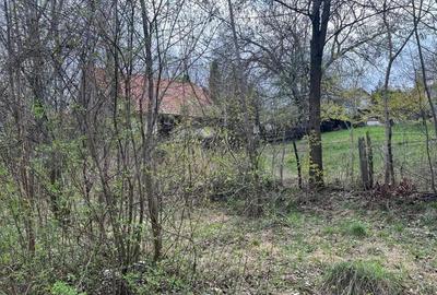 Breaza - str. Plaiului, teren 1400 mp - 8