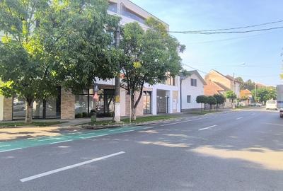 Spatiu comercial premium | De Inchiriat | Bloc verde, Cantemir - 7
