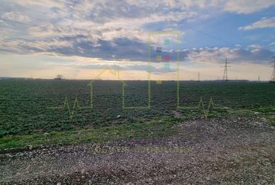 Teren agricol extravilan de 4345 mp, în Freidorf