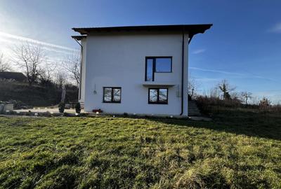 Casă cu 7 camere cu Teren 1600 Mp în Berchez - 6