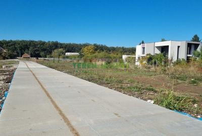 Vanzare lot 550 mp - Calea Bucuresti (DN1) Saftica - 7