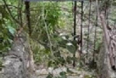 Proprietate deosebită în Centru Vechi Brașov – teren intravilan 2 corpuri casa - 7