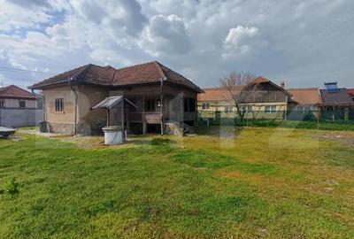 Casă cu 1 camere cu Teren 1000 Mp în Central - 2