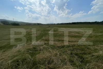 Teren extravilan 1200 mp Dorolea, aproape de Manastire - 2